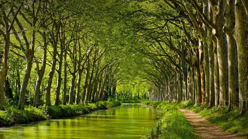 Gite La Chartreuse Du Canal Du Midi Toulouse Luaran gambar